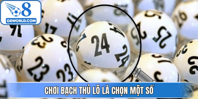 Chơi bạch thủ lô là chọn một số