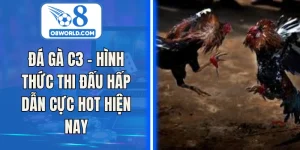 Đá Gà C3 - Hình Thức Thi Đấu Hấp Dẫn Cực Hot Hiện Nay