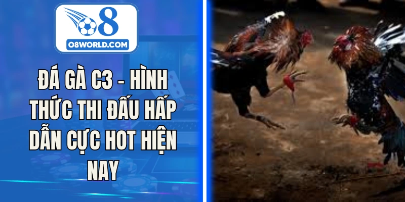 Đá Gà C3 - Hình Thức Thi Đấu Hấp Dẫn Cực Hot Hiện Nay