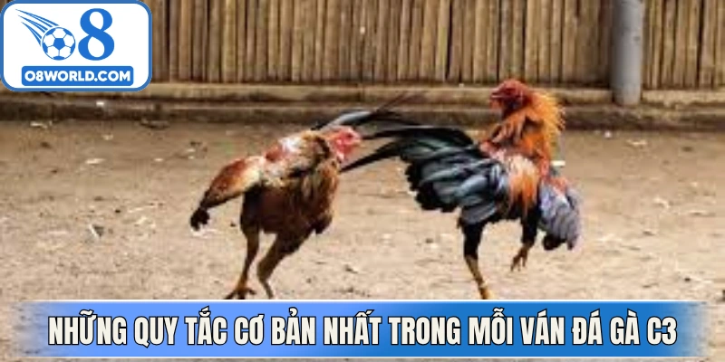 Những quy tắc cơ bản nhất trong mỗi ván đá gà C3