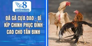 Đá Gà Cựa Dao - Bí Kíp Chinh Phục Đỉnh Cao Cho Tân Binh