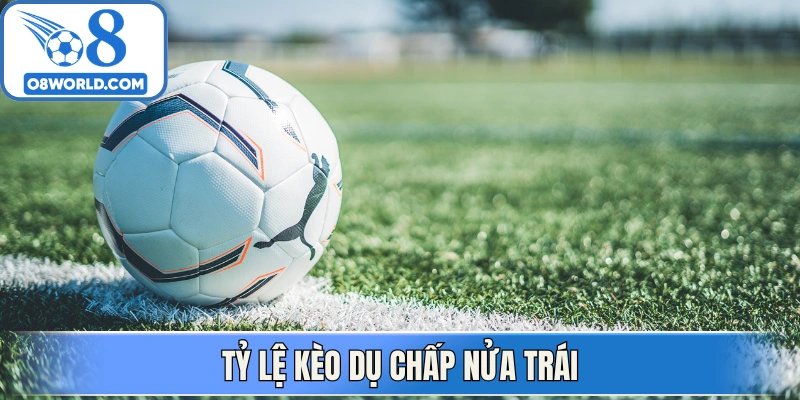 Tỷ lệ kèo dụ chấp nửa trái